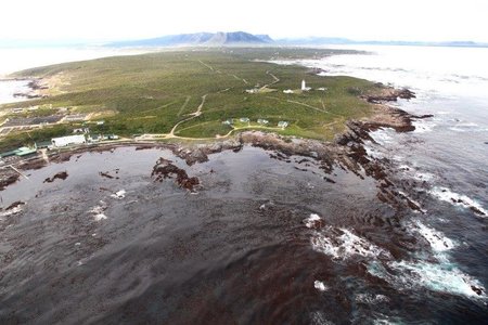 Die juweel van die Strandveld - Danger Point Skiereiland. Johann Kotze
